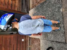 louis